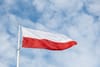 
        Poland ready to receive NATO nuclear weapons (and Russia will take action)
    